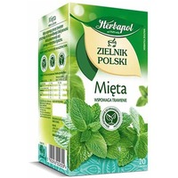 Herbata HERBAPOL ZIELNIK POLSKI mita (20 saszetek)